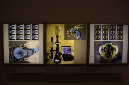 Wasp_exhibition__DSC3467